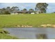 Wingham NSW 2429