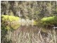 Elands NSW 2429