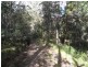 Elands NSW 2429