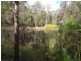 Elands NSW 2429