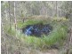Elands NSW 2429