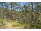 Elands NSW 2429