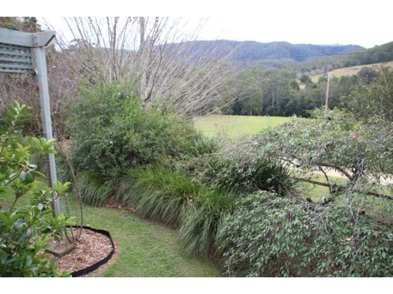 Caparra NSW 2429