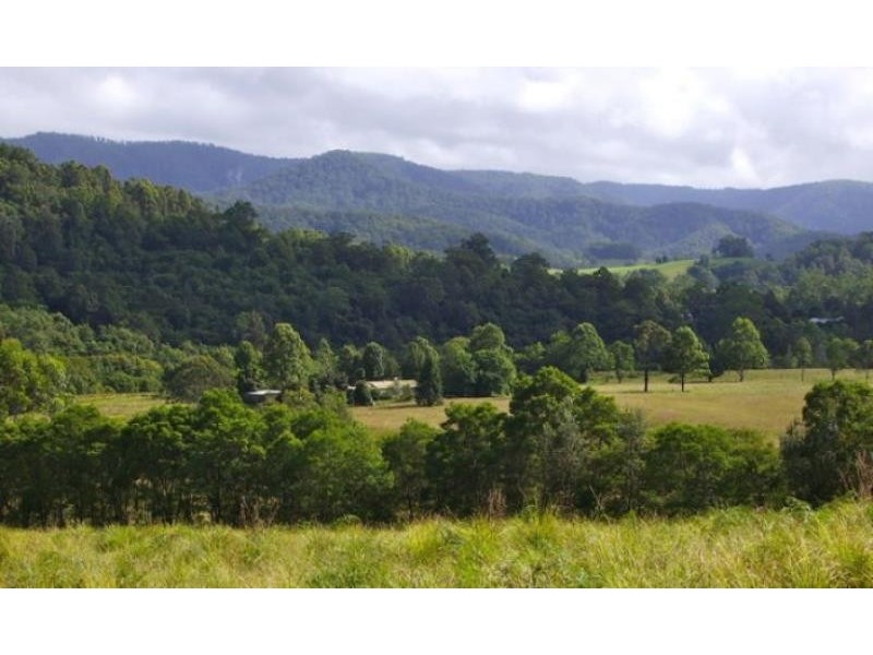 Bobin NSW 2429