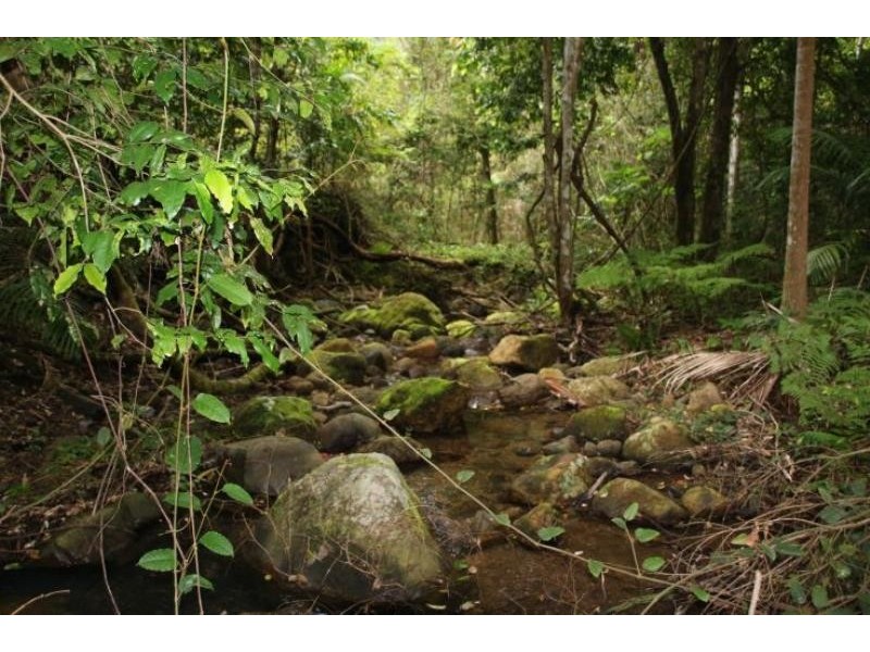 Killabakh NSW 2429