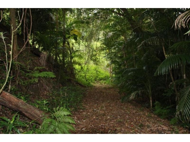 Killabakh NSW 2429