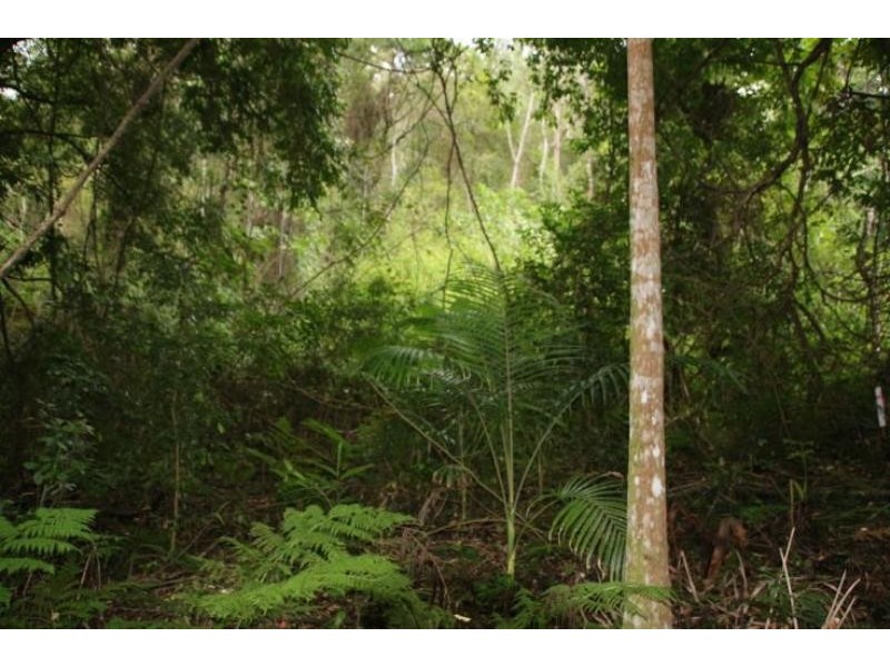 Killabakh NSW 2429