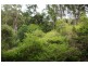 Killabakh NSW 2429