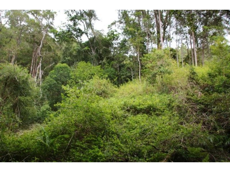Killabakh NSW 2429