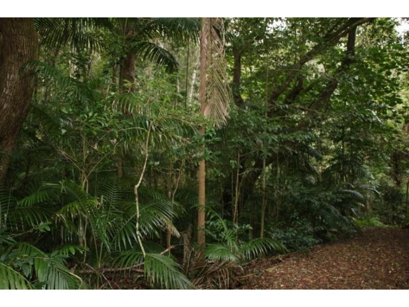 Killabakh NSW 2429