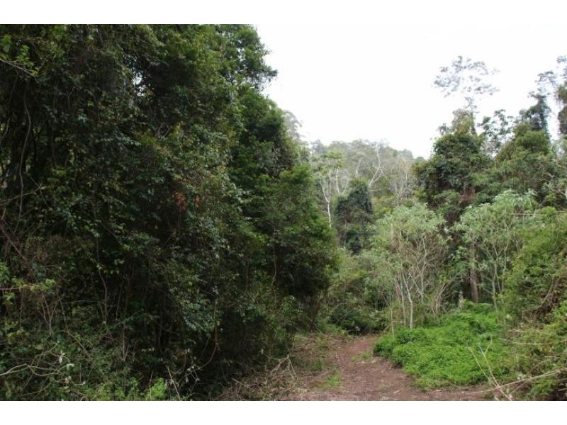 Killabakh NSW 2429