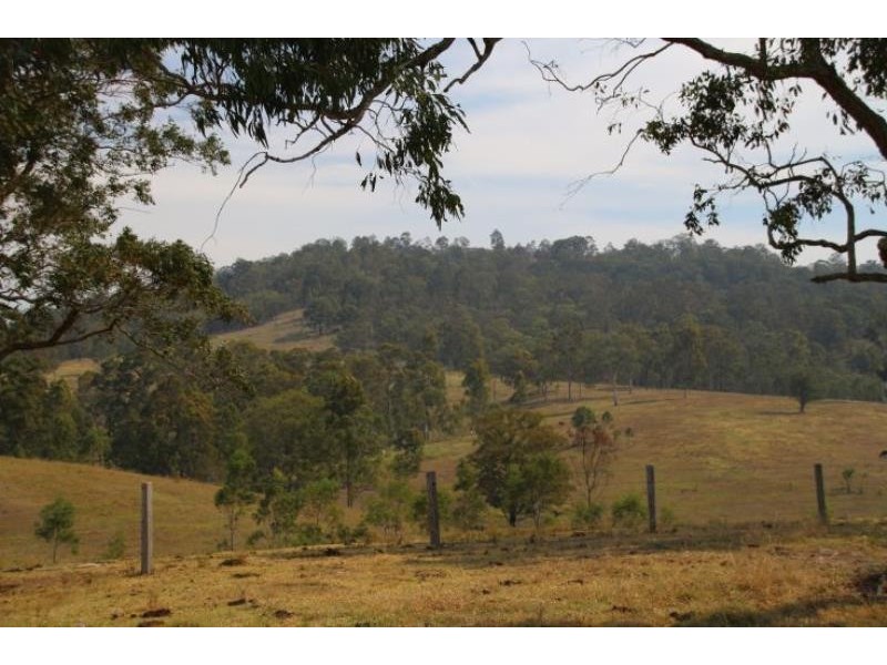 Dollys Flat NSW 2429