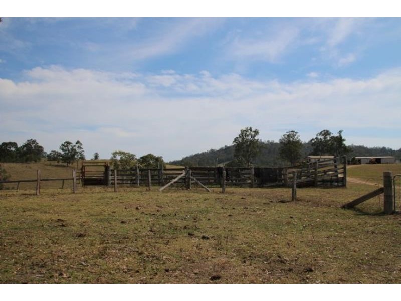 Dollys Flat NSW 2429