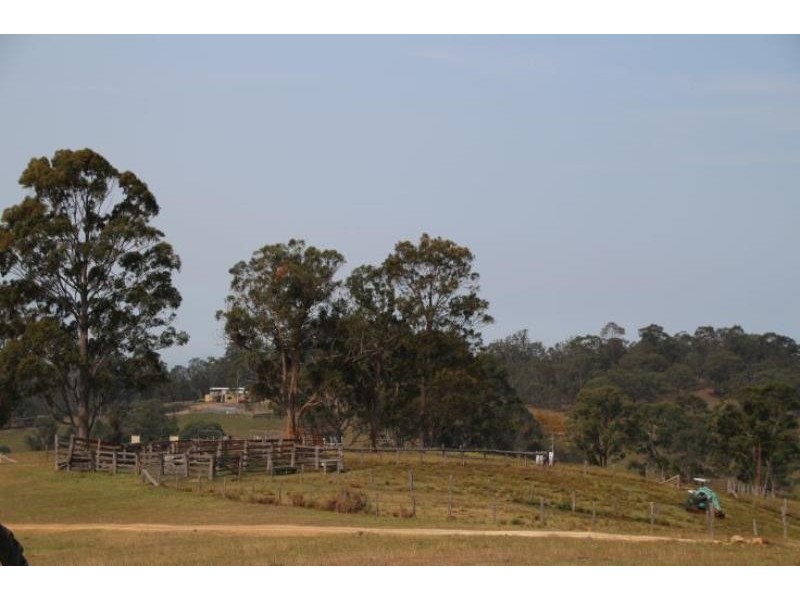 Dollys Flat NSW 2429