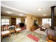 342 Bungay Rd, Wingham NSW 2429