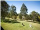 342 Bungay Rd, Wingham NSW 2429