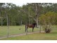 4545b The Bucketts Way, Wingham NSW 2429