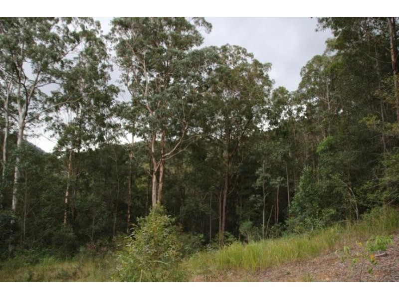 Mount George NSW 2424