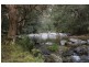 Cooplacurripa NSW 2424