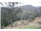 Cooplacurripa NSW 2424