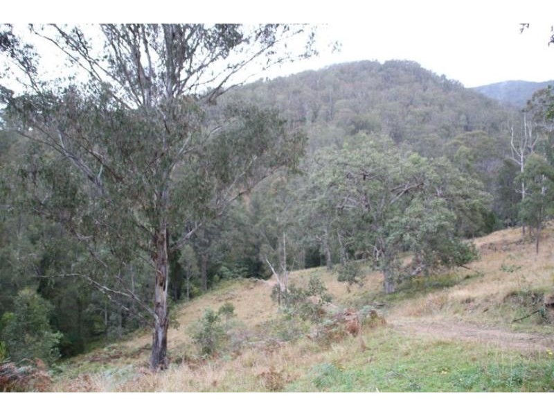 Cooplacurripa NSW 2424