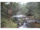Cooplacurripa NSW 2424