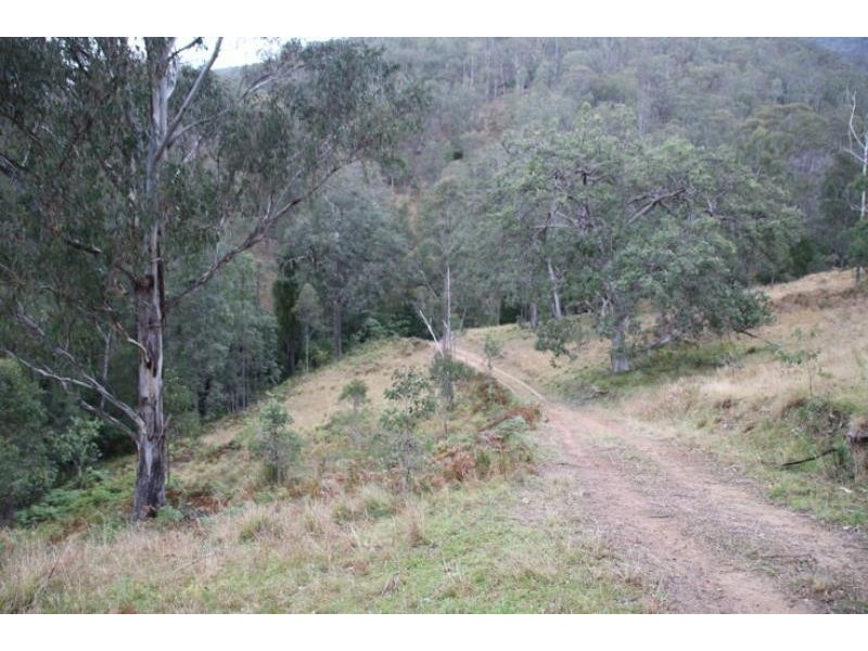 Cooplacurripa NSW 2424