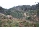 Cooplacurripa NSW 2424