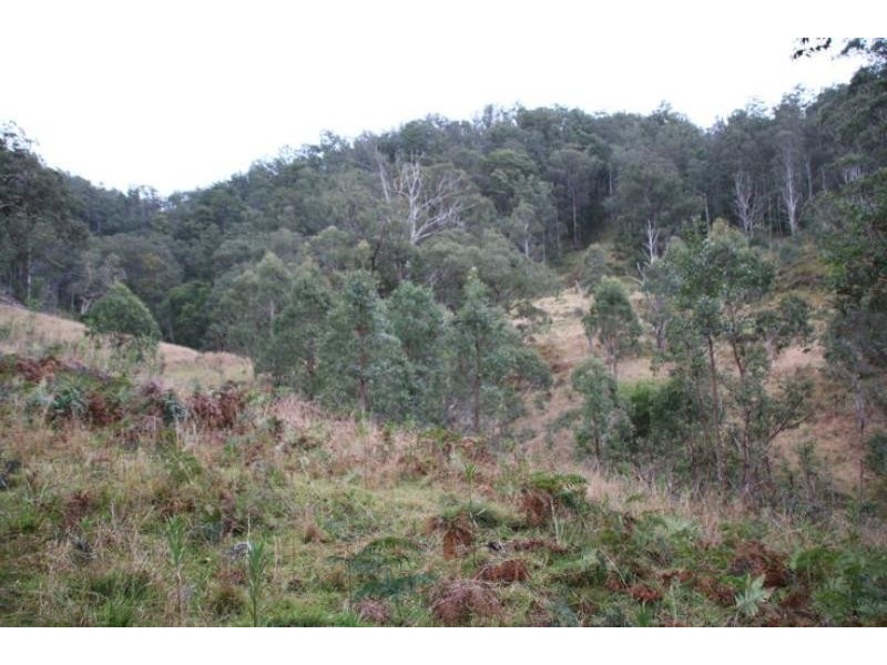 Cooplacurripa NSW 2424