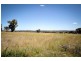 8R Angle Park Rd, Dubbo NSW 2830