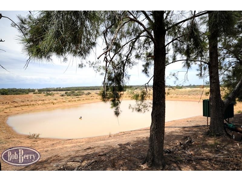52L Beni Forest Rd, Wongarbon NSW 2831