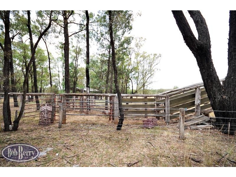 52L Beni Forest Rd, Wongarbon NSW 2831