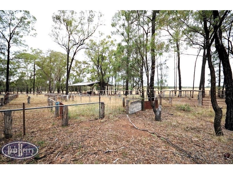 52L Beni Forest Rd, Wongarbon NSW 2831