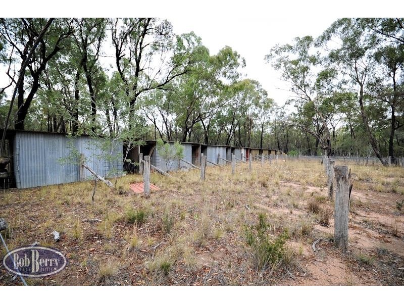 52L Beni Forest Rd, Wongarbon NSW 2831