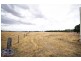 52L Beni Forest Rd, Wongarbon NSW 2831