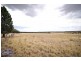 52L Beni Forest Rd, Wongarbon NSW 2831
