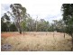 52L Beni Forest Rd, Wongarbon NSW 2831