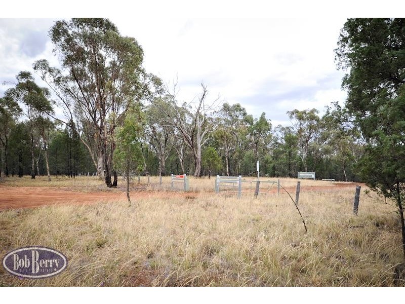 52L Beni Forest Rd, Wongarbon NSW 2831