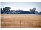Mortlock Ave, Dubbo NSW 2830