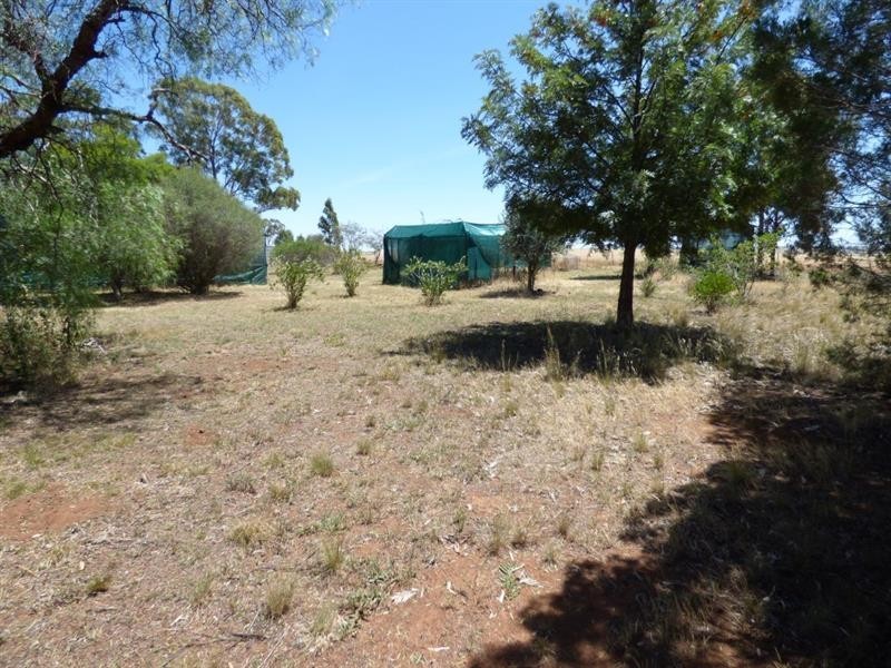 127L Westella Rd, Wongarbon NSW 2831