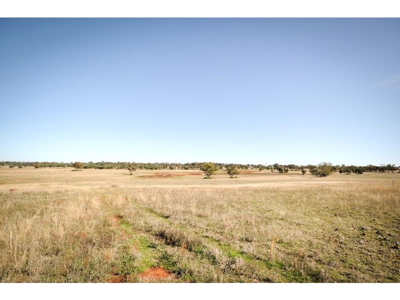 65L Burraway  Rd, Dubbo NSW 2830