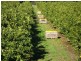 1094 Warren Rd, Narromine NSW 2821