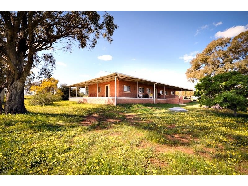 1118 Narromine-Eumungerie  Rd, Dubbo NSW 2830