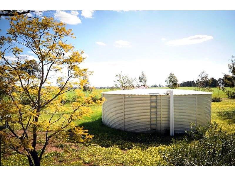 1118 Narromine-Eumungerie  Rd, Dubbo NSW 2830