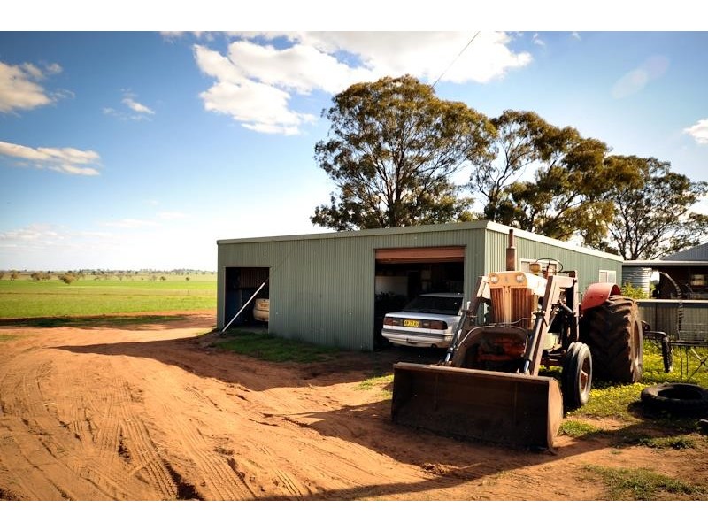1118 Narromine-Eumungerie  Rd, Dubbo NSW 2830