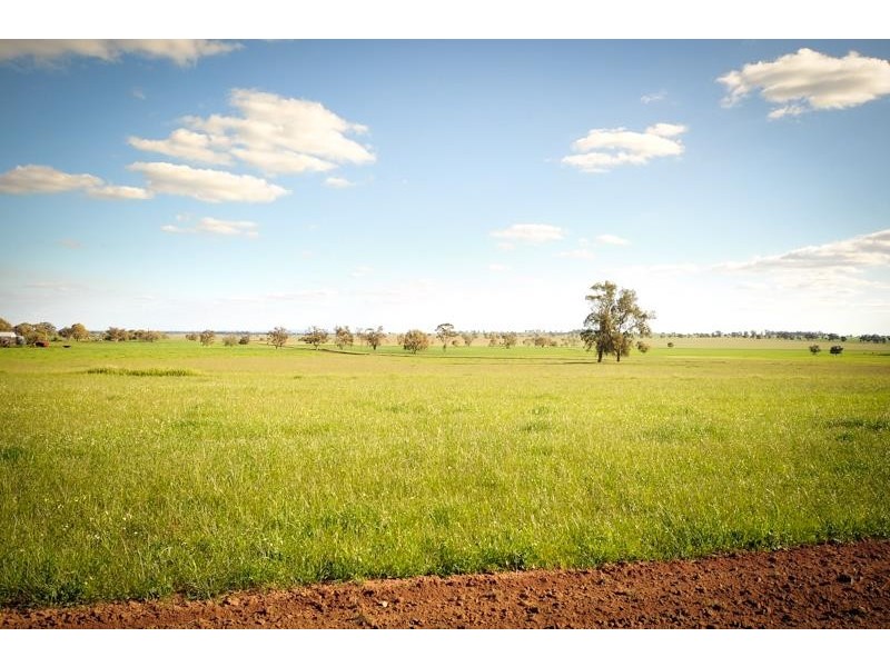 1118 Narromine-Eumungerie  Rd, Dubbo NSW 2830
