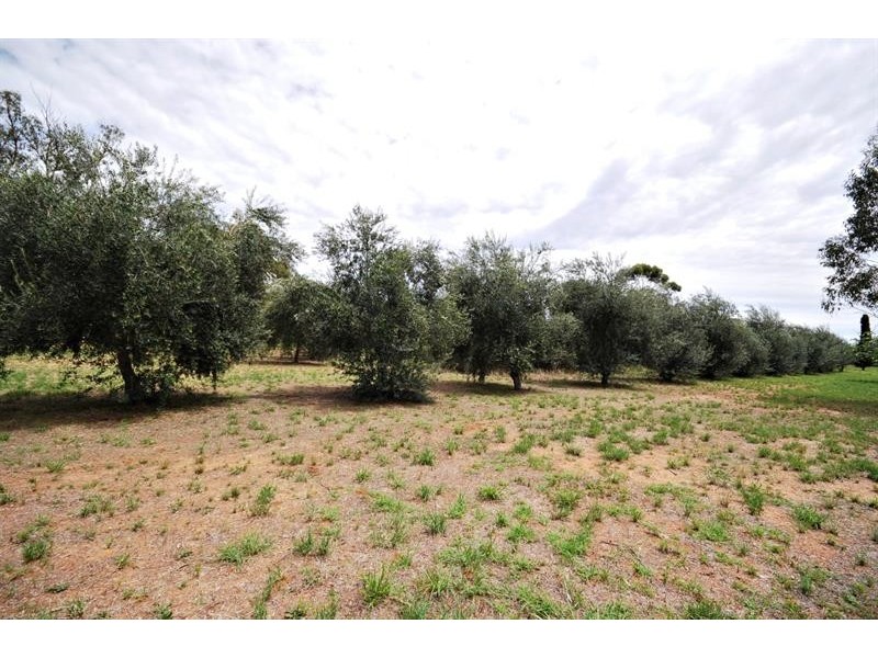 8R Dulcidene Rd, Dubbo NSW 2830