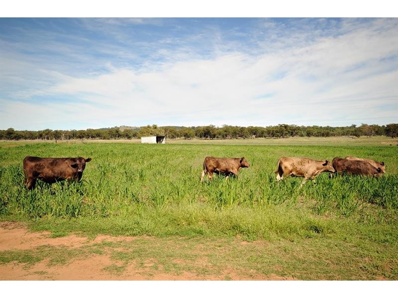 6R Benolong Rd, Dubbo NSW 2830