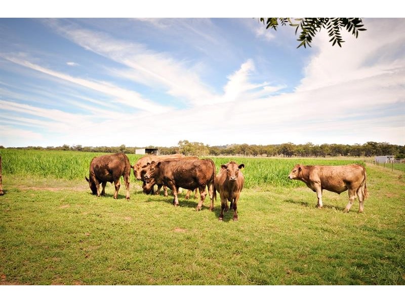 6R Benolong Rd, Dubbo NSW 2830