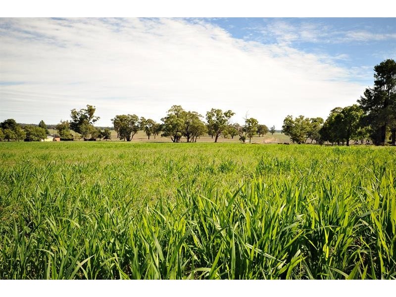 6R Benolong Rd, Dubbo NSW 2830